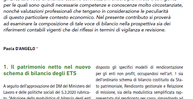 Equity and reserves in not-for-profit entities: accounting, supervisory and auditing implications